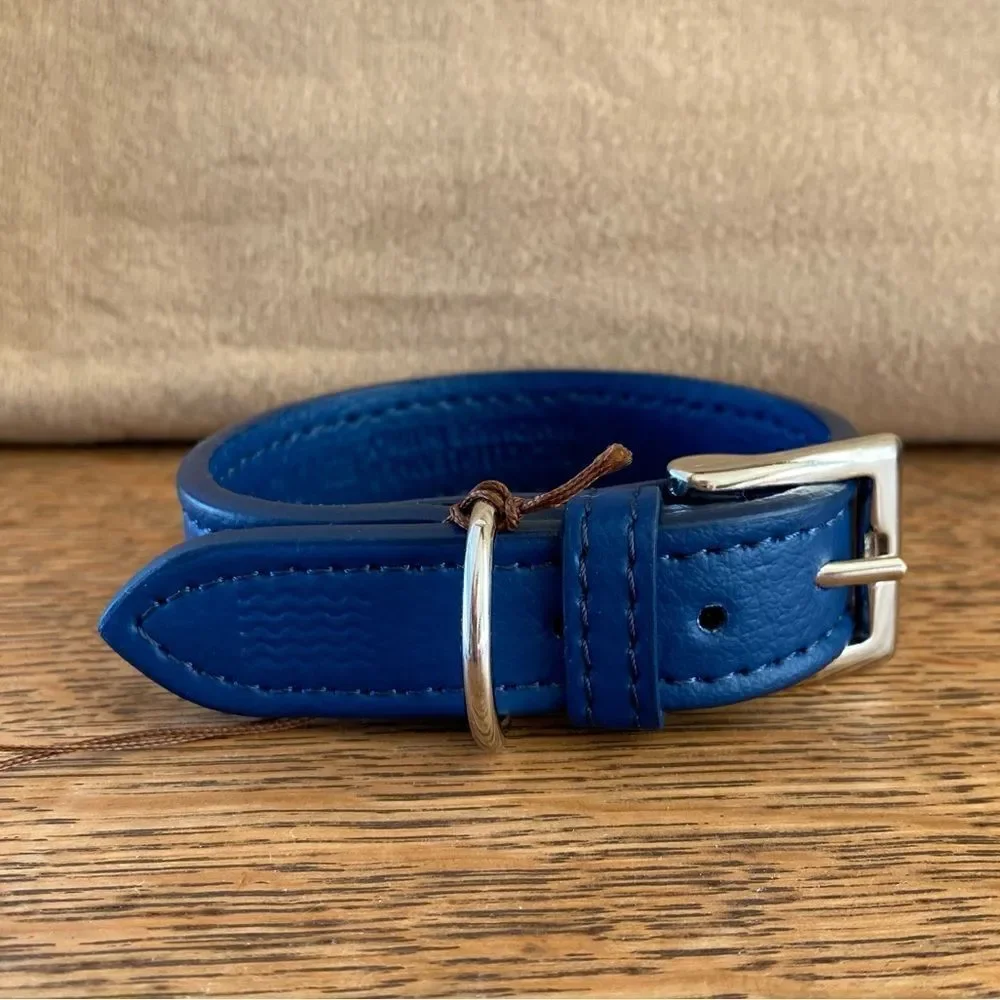 Project Blue Eco Friendly Dog Collar in Blue. Size XS. NWT